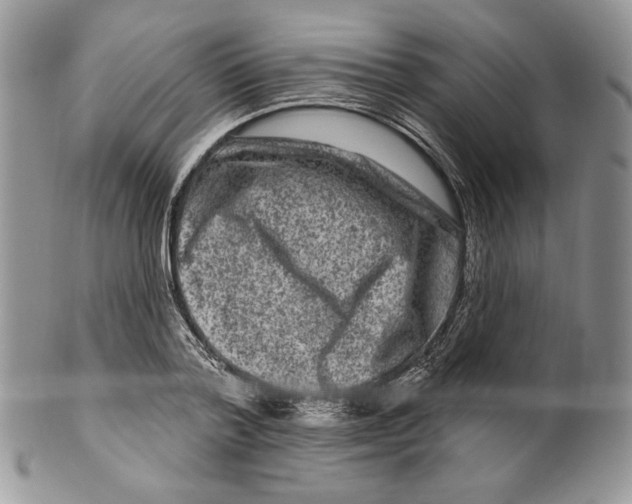 X0000099560788200806131233