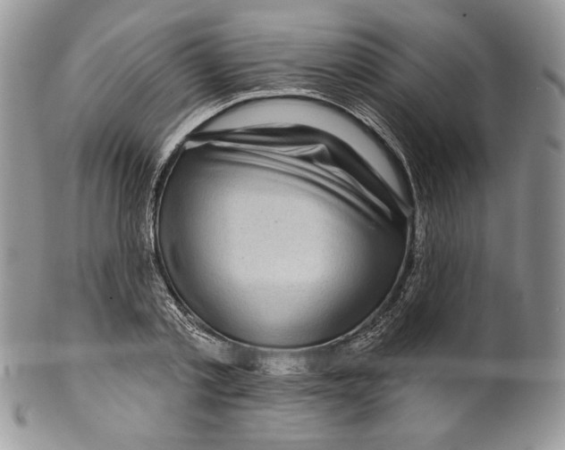 X0000099560789200806131233