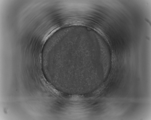 X0000099560790200806131233