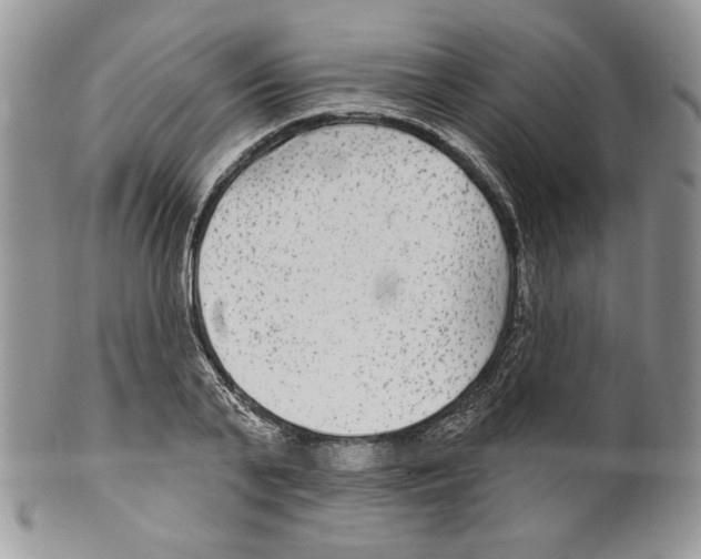 X0000099560791200806131233