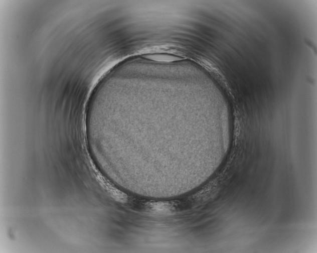 X0000099560792200806131233