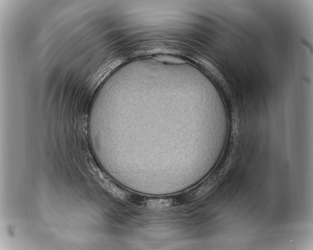 X0000099560793200806131233