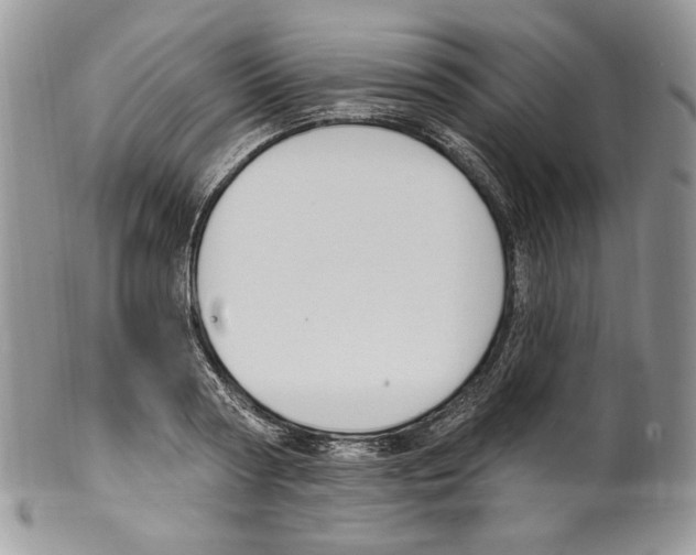 X0000099560794200806131233