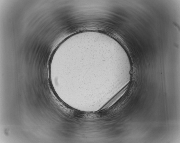 X0000099560795200806131233