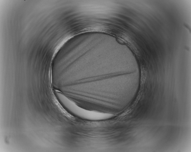 X0000099560796200806131233