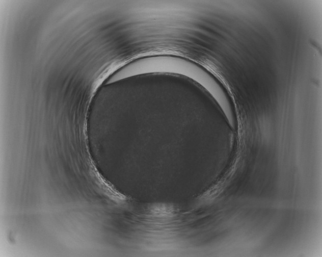 X0000099560797200806131233