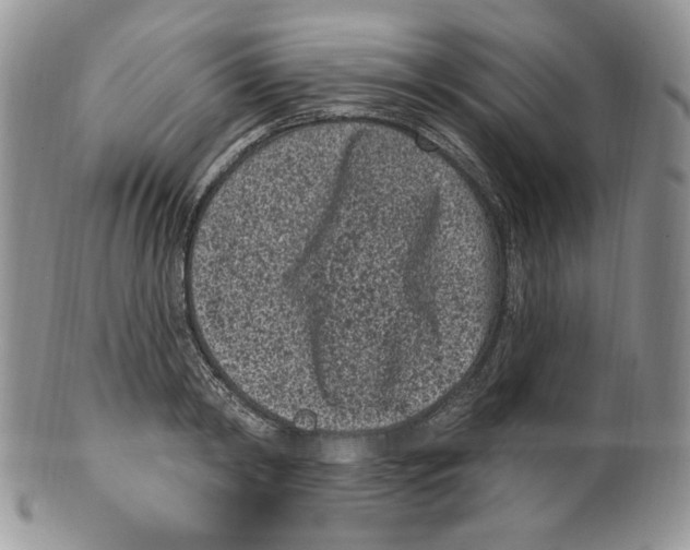 X0000099560798200806131233