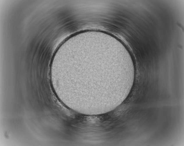 X0000099560799200806131233