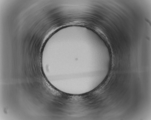 X0000099560800200806131233