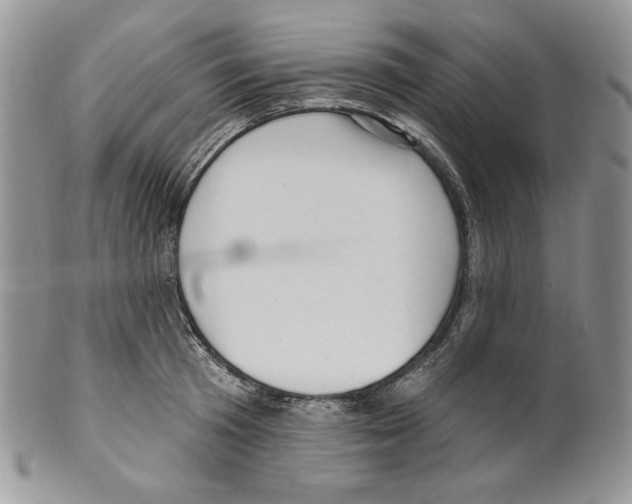 X0000099560801200806131233