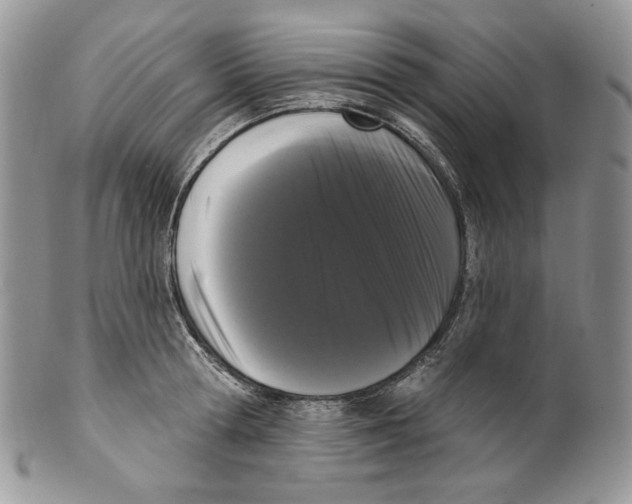 X0000099560802200806131233