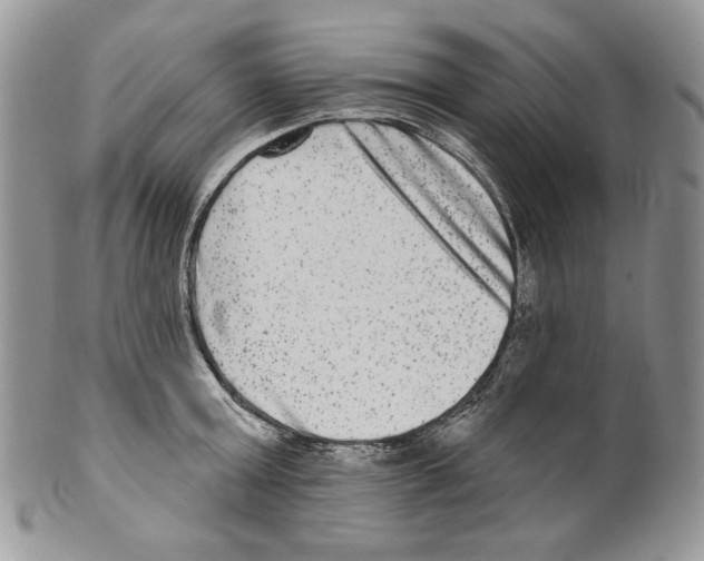 X0000099560803200806131233