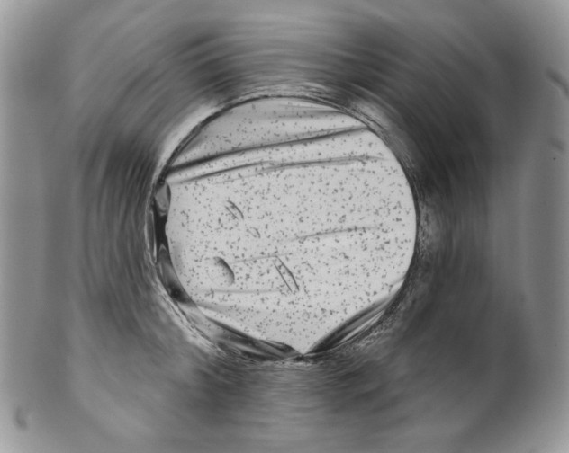 X0000099560804200806131233