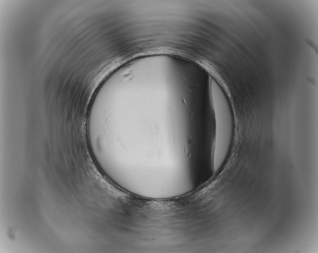 X0000099560805200806131233