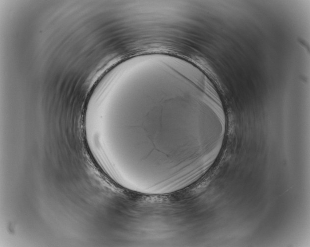 X0000099560806200806131233