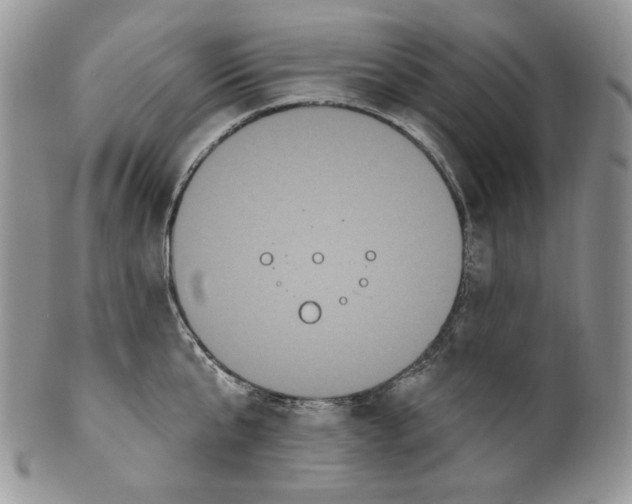 X0000099560807200806131233