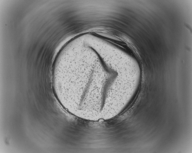 X0000099560808200806131233