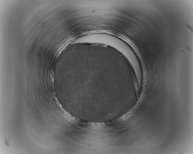 X0000099560809200806131233