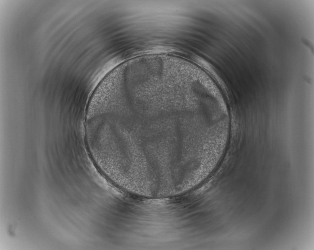 X0000099560810200806131233