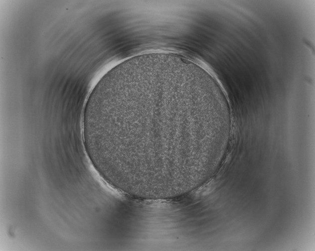 X0000099560811200806131233