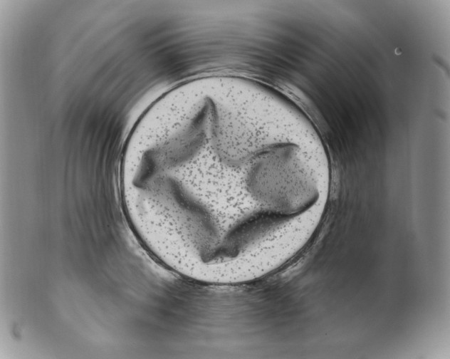 X0000099560812200806131233