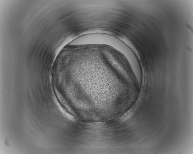 X0000099560813200806131233