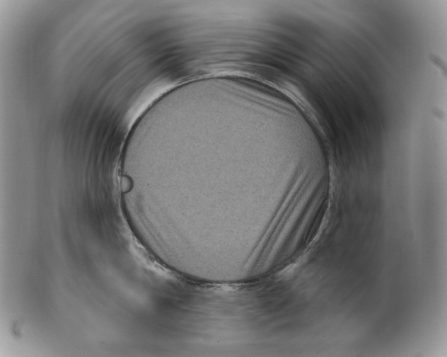 X0000099560814200806131233