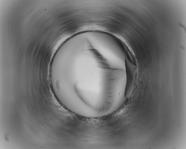 X0000099560815200806131233