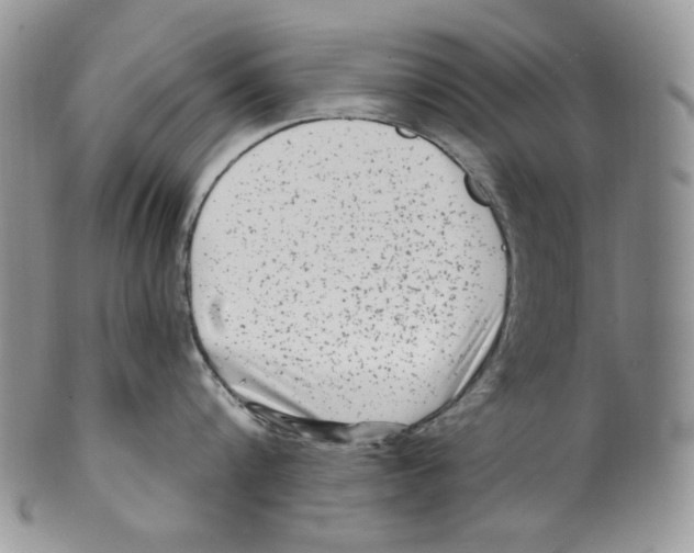 X0000099560816200806131233