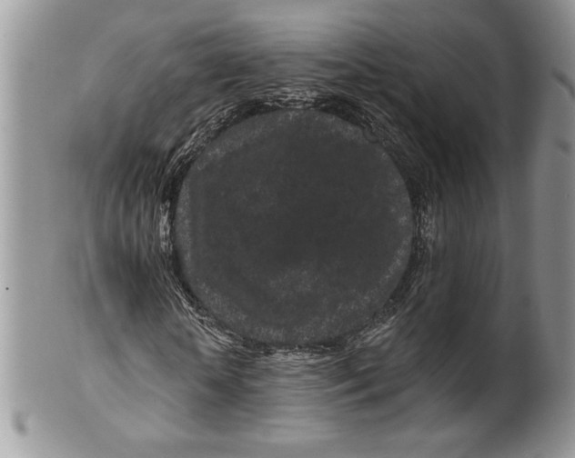 X0000099560818200806131232