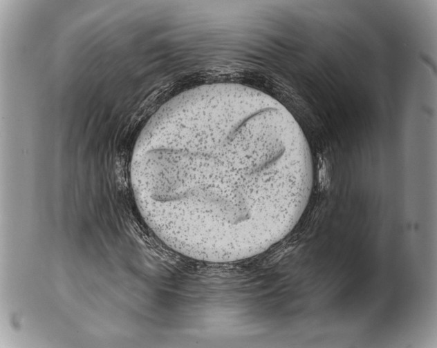 X0000099560819200806131232