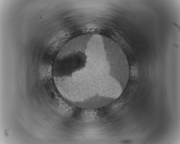 X0000099560820200806131232