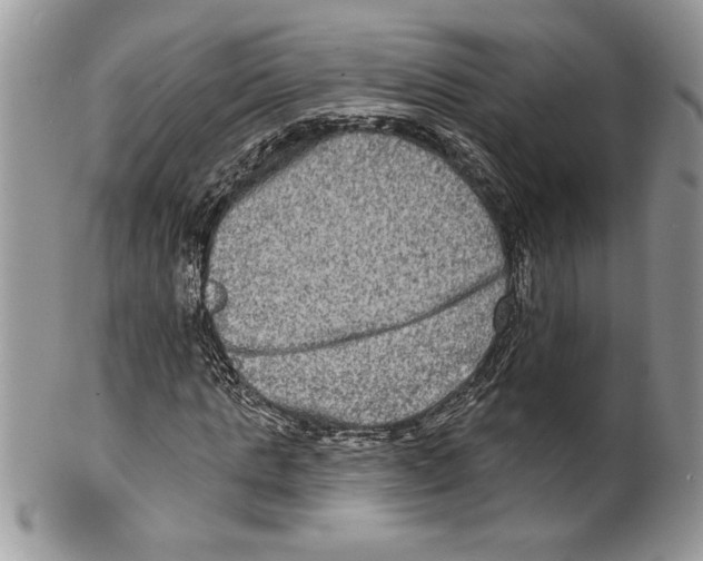 X0000099560821200806131232