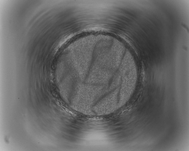 X0000099560823200806131232