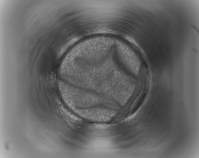 X0000099560825200806131232