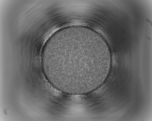 X0000099560828200806131232