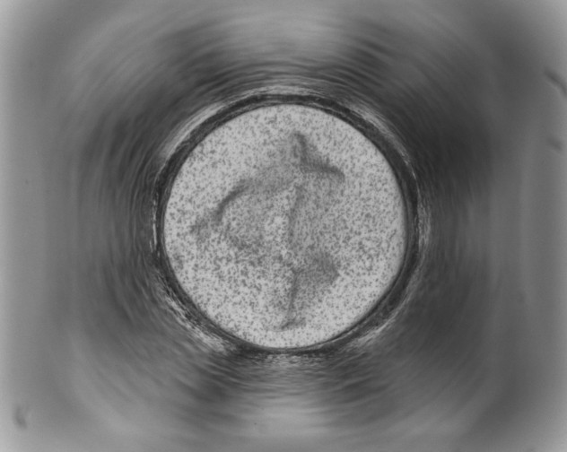 X0000099560829200806131232