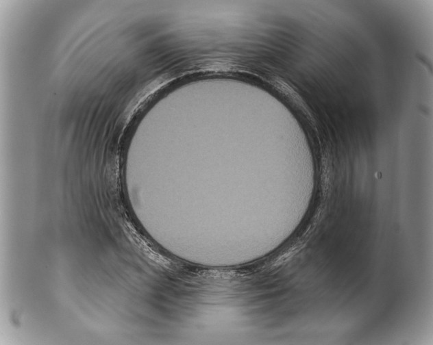 X0000099560831200806131232