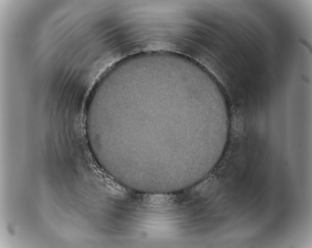 X0000099560832200806131232