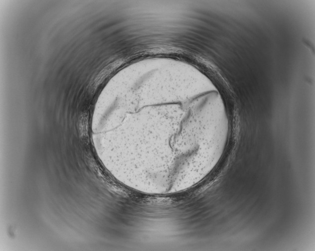 X0000099560833200806131232