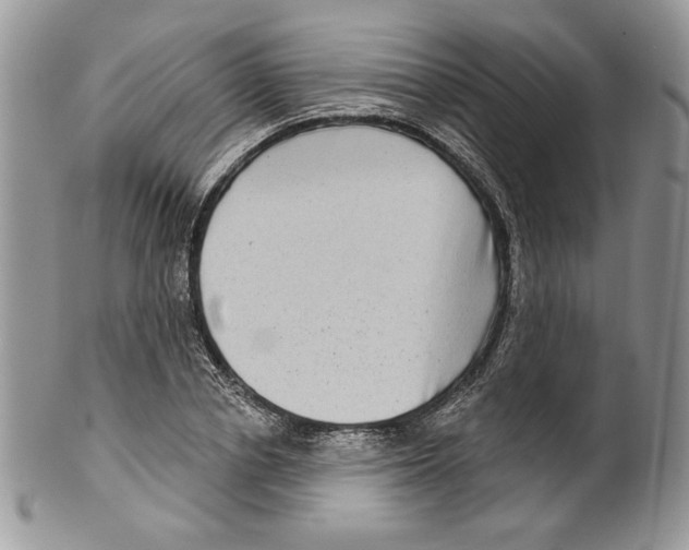 X0000099560834200806131232