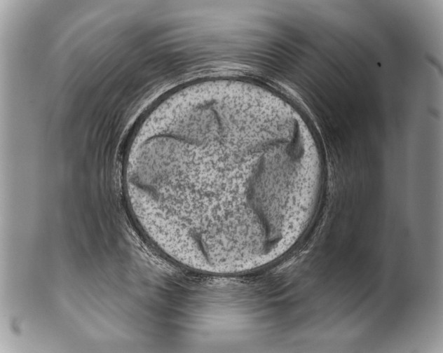 X0000099560835200806131232