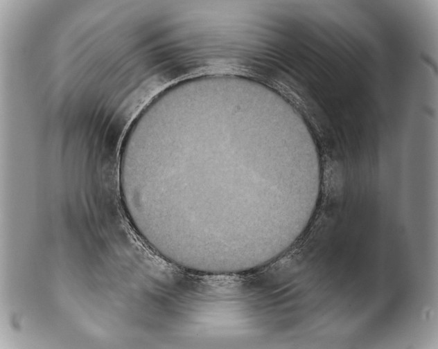 X0000099560836200806131232