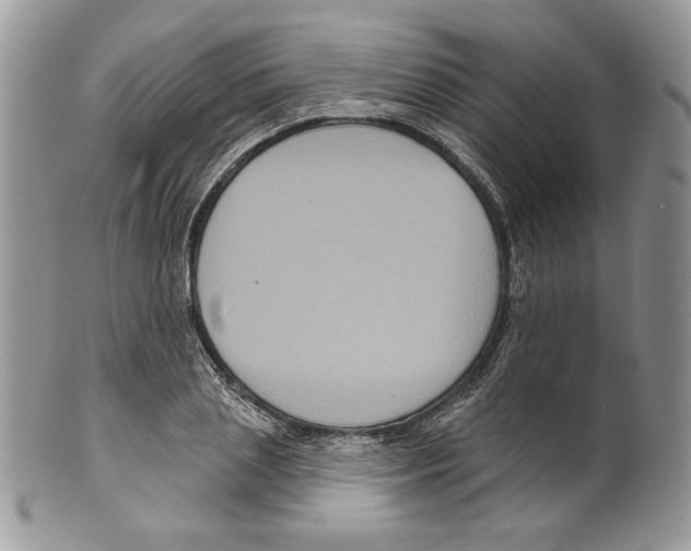 X0000099560837200806131232