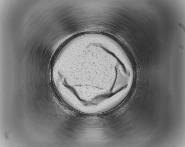 X0000099560838200806131232