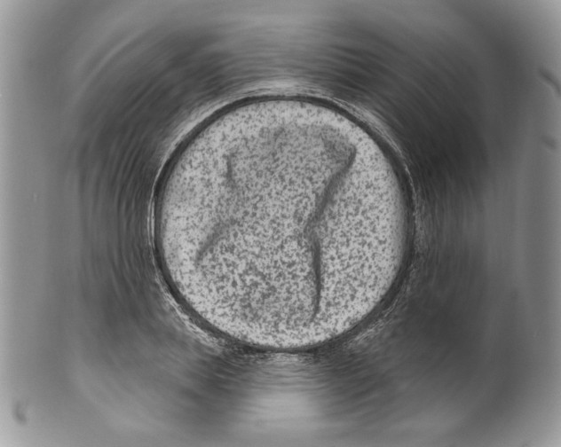 X0000099560839200806131232