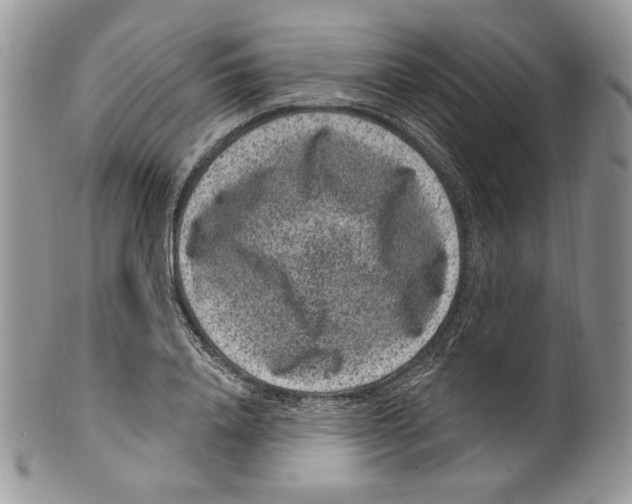 X0000099560840200806131232