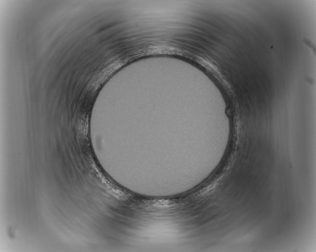 X0000099560841200806131232