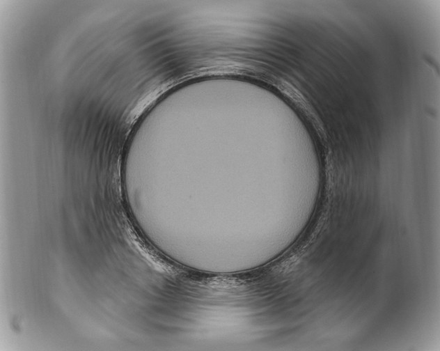 X0000099560842200806131232