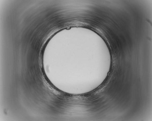 X0000099560843200806131232